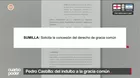 Pedro Castillo: del indulto a la gracia común