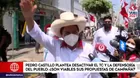 Pedro Castillo planteó desactivar el TC y la Defensoría del Pueblo: ¿Son viables sus propuestas de campaña?