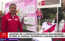 Pérez Reyes aseguró que regreso de Perú al Mundial favoreció a algunos sectores - Noticias de edicion-dominical