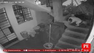 Perrita apagó explosivo lanzado contra casa de periodista en Huaral. Foto y video: América Noticias