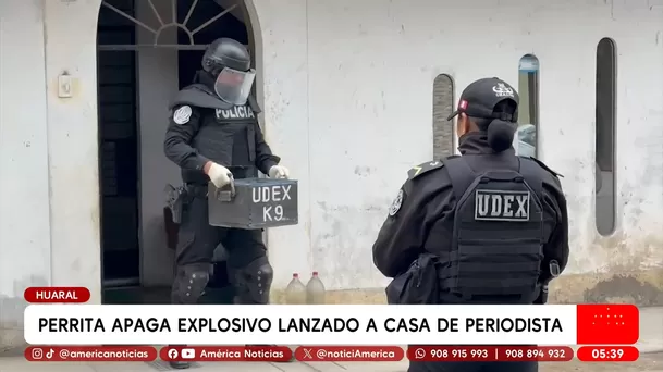 Perrita apagó explosivo lanzado contra casa de periodista en Huaral. Foto: América Noticias