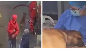 Perrito es baleado por ladrones durante asalto a grifo en SMP/ América Noticias