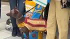 Perro peruano sin pelo: 40 años como símbolo nacional del Perú