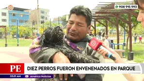 Perros fueron envenedados en parque de Santa Anita. Foto y video: América Noticias