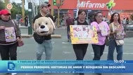 Perros perdidos: historias de amor y búsqueda sin descanso