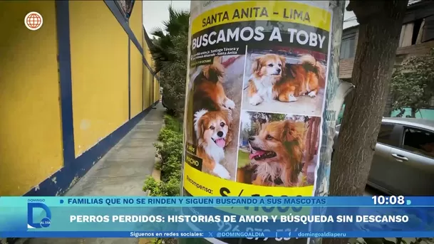 Fuente: Domingo Al Día
