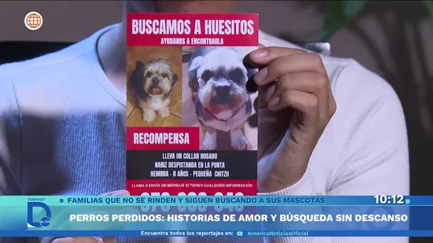 Fuente: Domingo Al Día