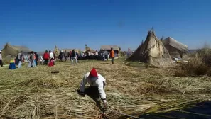  En el mercado nacional la totora es utilizada únicamente como material para artesanías / Foto: Andina