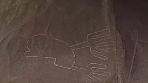 El Perú ganó seis galardones en los World Travel Awards 2026, edición Sudamérica, incluyendo Destino líder y Destino culinario. Además, el Santuario Histórico de Machupicchu fue elegido como la Atracción turística líder de Sudamérica. Video: Canal N