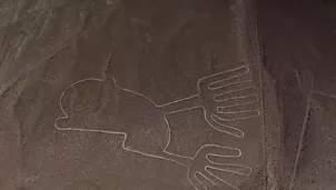 El Perú ganó seis galardones en los World Travel Awards 2026, edición Sudamérica, incluyendo Destino líder y Destino culinario. Además, el Santuario Histórico de Machupicchu fue elegido como la Atracción turística líder de Sudamérica. Video: Canal N