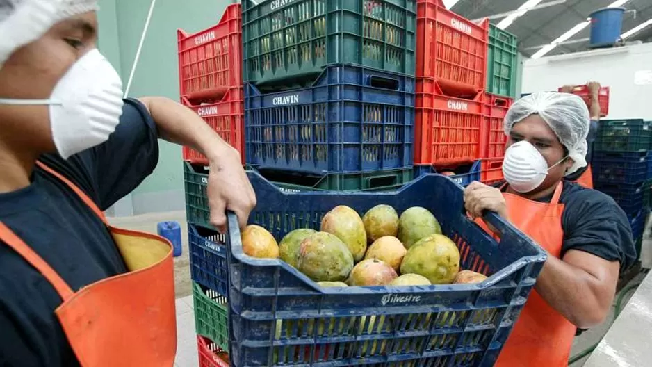 Las exportaciones peruanas a la zona APEC se incrementan. Foto: Andina