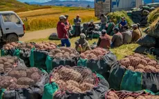 Perú es uno de los países con mayor riesgo a nivel global de sucumbir ante la crisis alimentaria - Noticias de tepha-loza