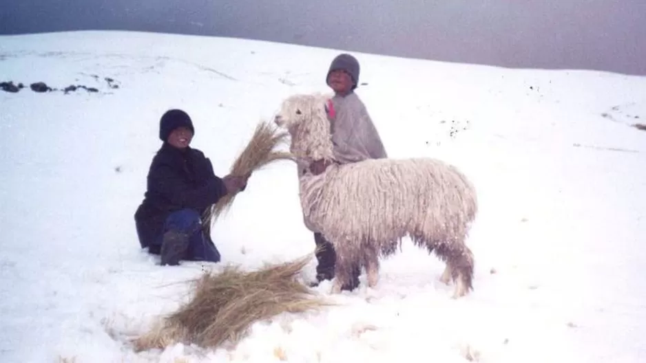 Foto: archivo Andina Foto: archivo Andina