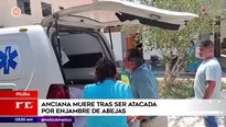 Enjambre de abejas atacó a mujer en Piura. Foto y video: América Noticias