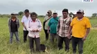 Piura: Agricultores reportan pérdidas en hectáreas por sequía