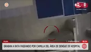 Piura: Grabaron a una rata en la camilla del hospital de Sullana
