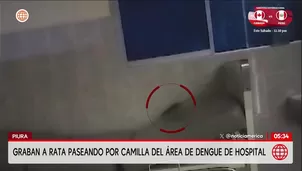 Piura: Grabaron a un roedor en la camilla del hospital de Sullana. Foto y video: América Noticias