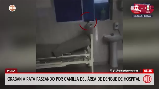 Piura: Grabaron a un roedor en la camilla del hospital de Sullana. Foto: América Noticias Piura: Grabaron a un roedor en la camilla del hospital de Sullana. Foto: América Noticias