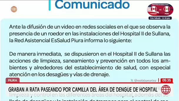 Piura: Grabaron a un roedor en la camilla del hospital de Sullana. Foto: América Noticias Piura: Grabaron a un roedor en la camilla del hospital de Sullana. Foto: América Noticias