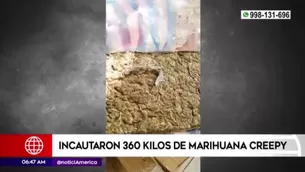 Policía Nacional incauta 360 kilos de marihuana creepy. Video: América