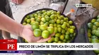 Piura: Precio del limón se triplica en los mercados