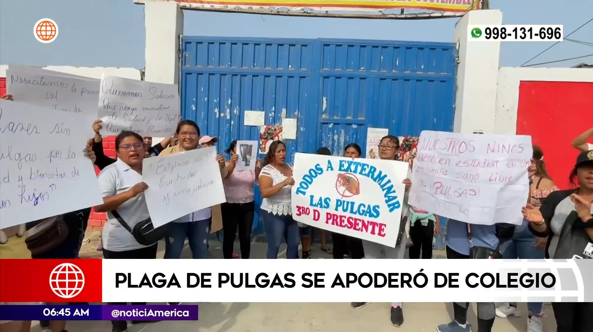 Padres de familia preocupados por plaga de pulgas | Imagen: América Noticias