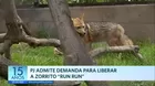 Poder Judicial admite demanda para liberar a zorrito Run Run