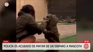Policía es acusado de matar de un disparo a mascota en Piura