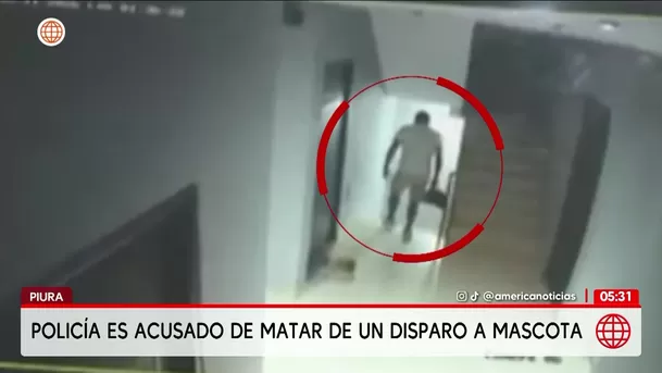 Policía es acusado de matar de un disparo a mascota en Piura. Foto: América Noticias