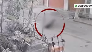 Policía dispara y mata a perro de raza rottweiler de su vecina en el distrito de San Juan de Lurigancho. / Video: América Noticias