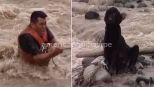 Luego de varios esfuerzos el perro pudo ser rescatado / Video: América Noticias