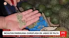 Policía incauta marihuana en auto con jabas de paltas en Pucallpa