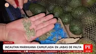 Policía incauta marihuana en auto con jabas de paltas en Pucallpa