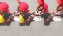 Agentes de la Policía de Salvataje ayudaron a una gaviota / Video: PNP