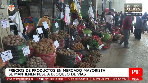 Precios se mantienen estables en mercado mayorista pese a bloqueos. Foto: América Noticias