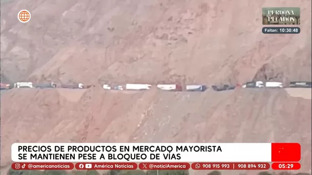 Precios se mantienen estables en mercado mayorista pese a bloqueos. Foto: América Noticias