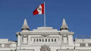 Congreso. / Video: Canal N