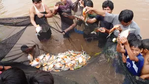 En la región San Martín se potenciará la producción de Tilapia, mientras que en Puno se hará lo mismo con la Trucha. Foto: blogspot