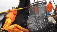 Produce autorizó una segunda temporada de pesca de anchoveta en el 2015