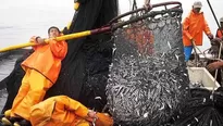 Una segunda temporada de pesca de anchoveta fue autorizada por el Produce. Foto: archivo El Comercio