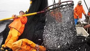 Una segunda temporada de pesca de anchoveta fue autorizada por el Produce. Foto: archivo El Comercio