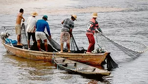 Las autoridades exhortaron a los pescadores que primero verifiquen / Foto: Gobierno del Perú