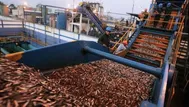 Produce: Se pescó más del 81% de cuota de anchoveta para primer semestre