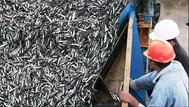 Produce: Es posible que no haya segunda temporada de pesca de anchoveta