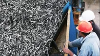 Hay posibilidad de que no se otorgue segunda temporada de pesca de anchoveta, según el Produce. Foto: archivo El Comercio