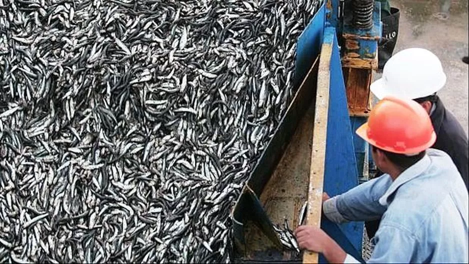 Hay posibilidad de que no se otorgue segunda temporada de pesca de anchoveta, según el Produce. Foto: archivo El Comercio