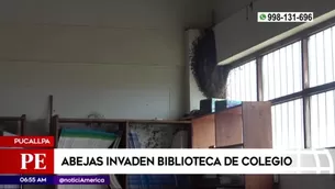 América Noticias