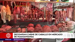 Decomiso de carne de caballo. Foto y video: América Noticias