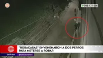 Robo en Puente Piedra. Foto y video: América Noticias