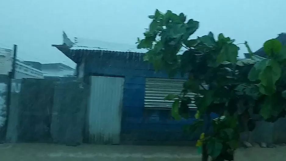 El árbol cayó en un campamento minero. Foto referencial: Difusión